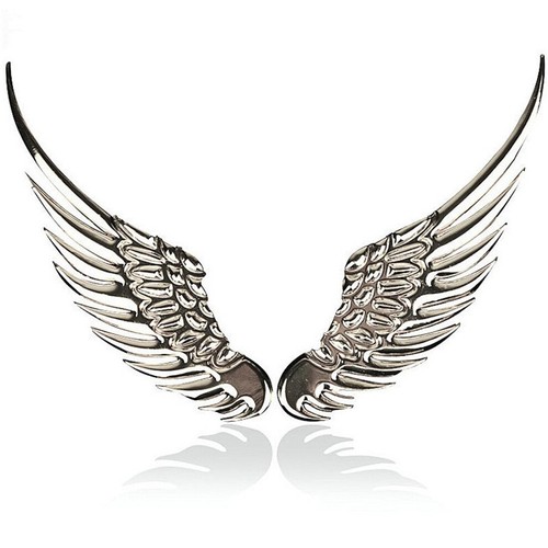 1pair angel hawk - hawk, wings